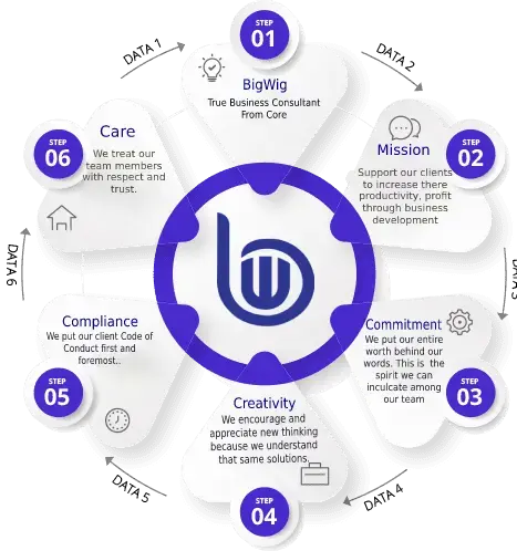 about-bigwig-in-duabi-uae